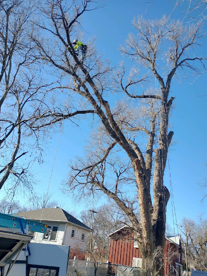 Samsquatch Tree Service