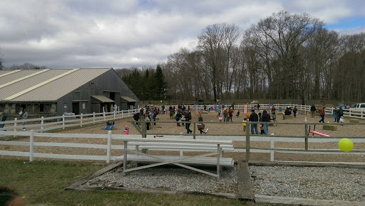 Animal Rescue Service «Ray of Light Farm Inc», reviews and photos, 232 Town St, East Haddam, CT 06423, USA