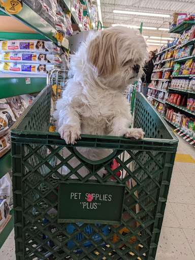 Pet Supply Store «Pet Supplies Plus», reviews and photos, 1380 W Lane Ave, Upper Arlington, OH 43221, USA