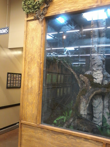 Pet Store «Lost Realms Pets», reviews and photos, 8059 N Cedar Ave, Fresno, CA 93720, USA