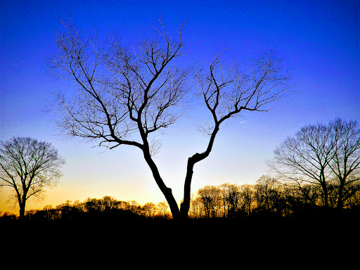 Golf Course «Galloping Hill Park and Golf Course», reviews and photos, 3 Golf Dr, Kenilworth, NJ 07033, USA