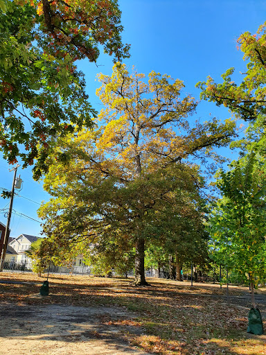 Park «Hayes Park», reviews and photos, 1516 N Lincoln St, Arlington, VA 22201, USA