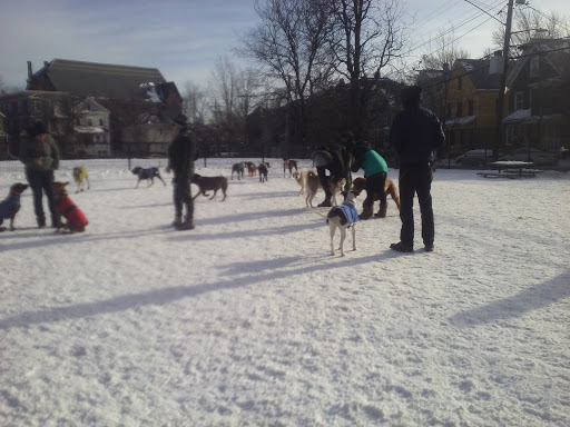 Park «Nunziato Field Dog Park», reviews and photos, Putnam St, Somerville, MA 02143, USA