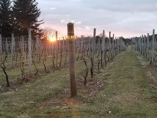 Vineyard «Crossing Vineyards and Winery», reviews and photos, 1853 Wrightstown Rd, Newtown, PA 18940, USA