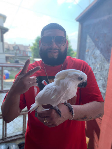 Pet Store «Fins Feathers Paws Claws», reviews and photos, 201 Station Rd, Quakertown, PA 18951, USA