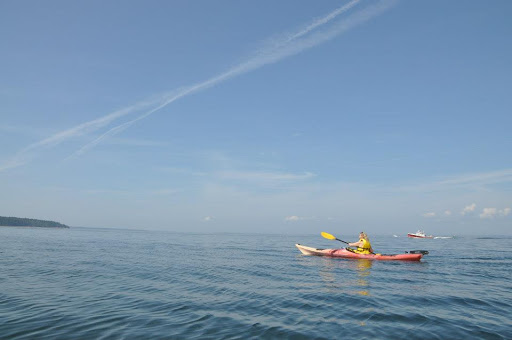 Tourist Information Center «Coastal Kayaking Tours Inc», reviews and photos, 48 Cottage St, Bar Harbor, ME 04609, USA