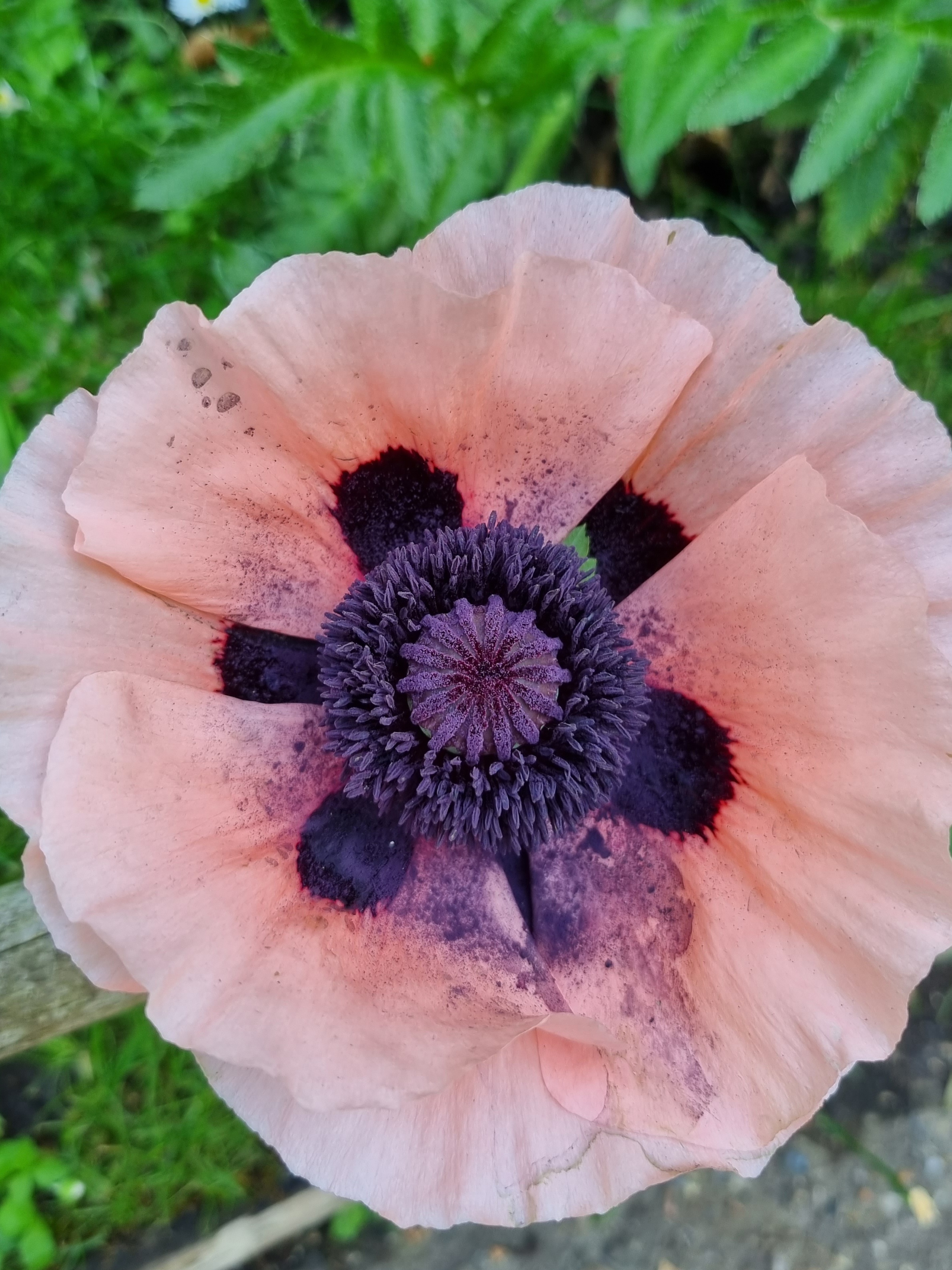 Photo n° 2 de l'avis de Sabine.o fait le 13/06/2023 à 19:16