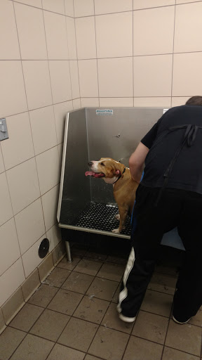 Pet Supply Store «Pet Supplies Plus», reviews and photos, 15060 Eureka Rd, Southgate, MI 48195, USA