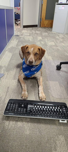 Employment Agency «Express Employment Professionals», reviews and photos, 3230 E Broadway Rd B-110, Phoenix, AZ 85040, USA