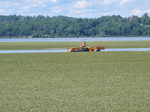 Nature Preserve «Esopus Meadows Preserve», reviews and photos, 257 River Rd, Ulster Park, NY 12487, USA