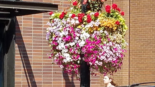 Historical Place «Klondike Gold Rush - Seattle Unit», reviews and photos, 319 2nd Ave S, Seattle, WA 98104, USA