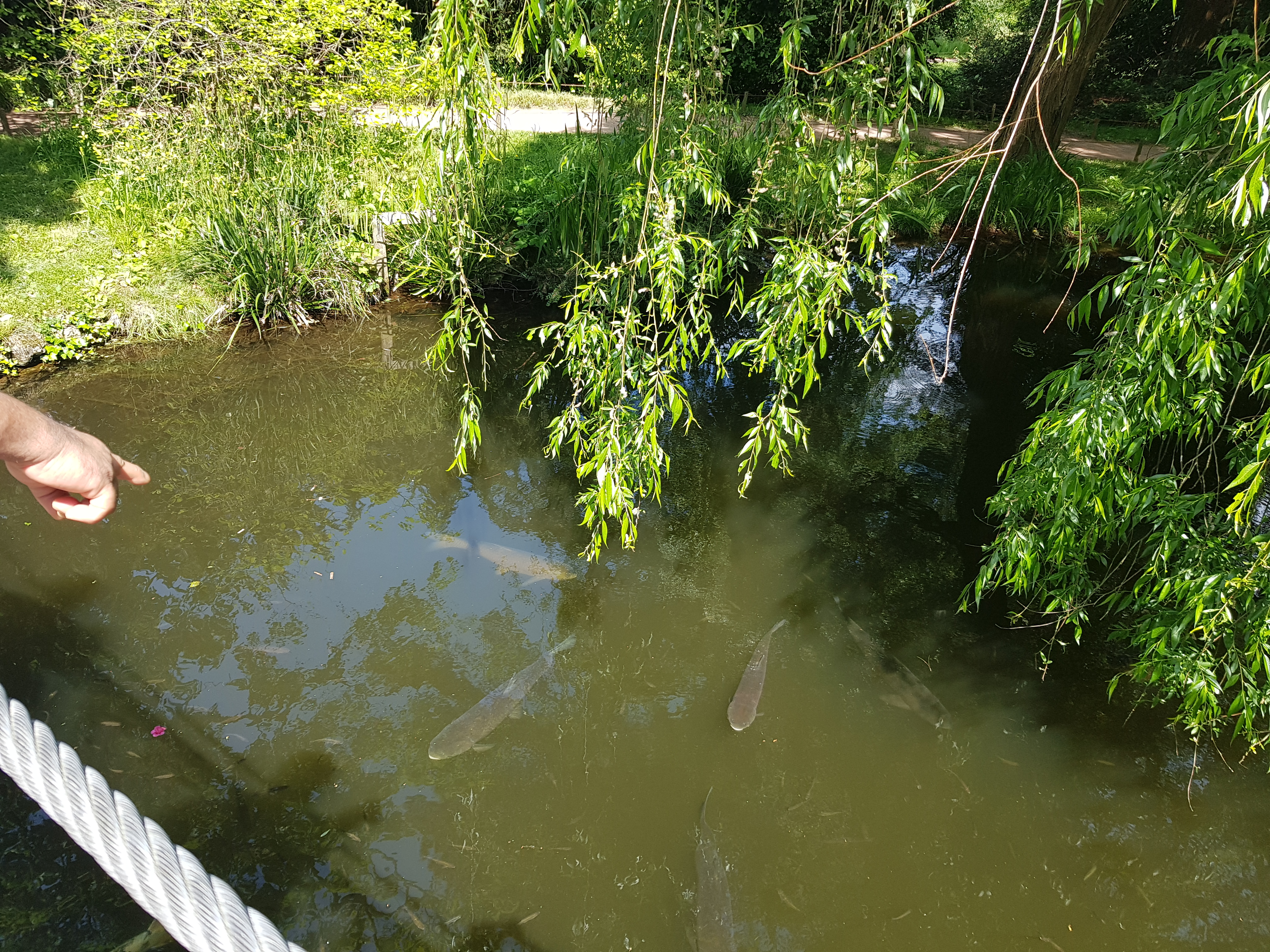 Photo n° 2 de l'avis de Thiné.a fait le 19/07/2023 à 08:09