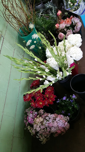 Florist «Post Road English Garden», reviews and photos, 1105 N Post Rd, Indianapolis, IN 46219, USA