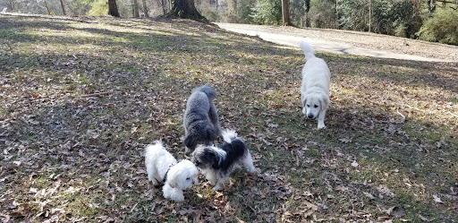 Park «Frankie Allen Park», reviews and photos, 100 Bagley St NE, Atlanta, GA 30305, USA