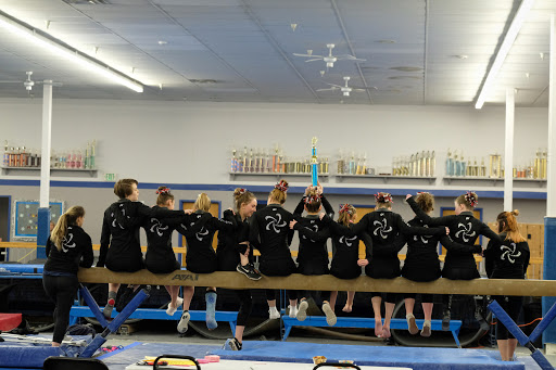 Gymnastics Center «Stars Gymnastics», reviews and photos, 3870 Mallow Rd, Colorado Springs, CO 80907, USA