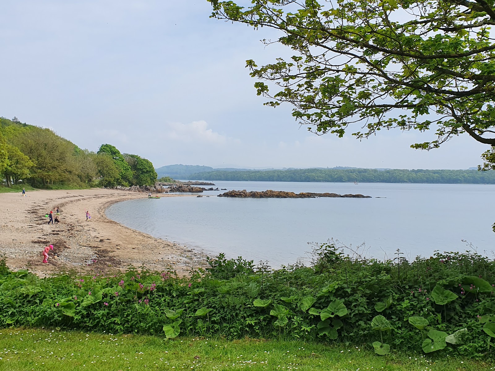 Foto de The Dhoon Beach - buen lugar amigable para mascotas para vacacionar