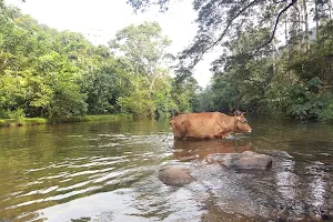 Achankovil Causeway image