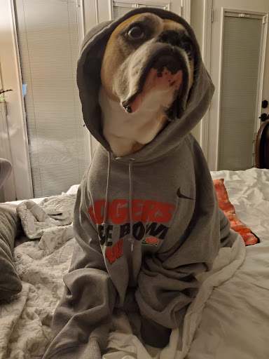 Pet Supply Store «PetSmart», reviews and photos, 30 Malphrus Rd, Bluffton, SC 29910, USA