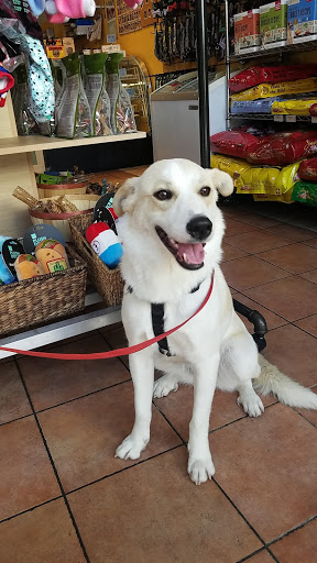 Pet Supply Store «The Dog Bakery», reviews and photos, 36 W Colorado Blvd, Pasadena, CA 91105, USA