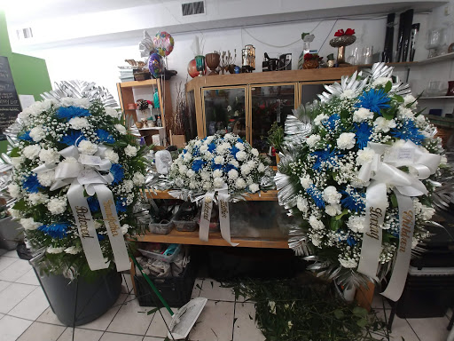 Florist «Plump Chicago Flower Shop», reviews and photos, 411 E Oakwood Blvd, Chicago, IL 60653, USA