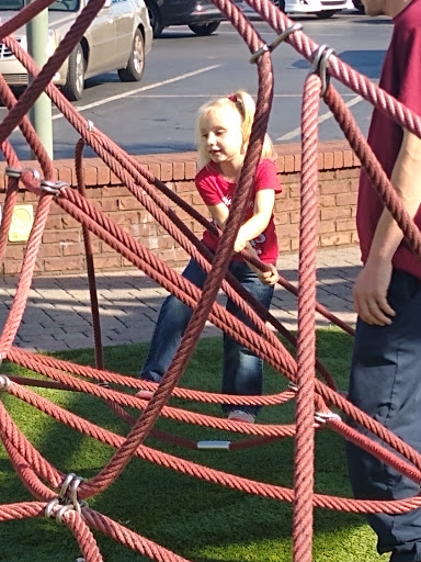 Pet Supply Store «Pet Supermarket», reviews and photos, 99 Eglin Pkwy NE #32a, Fort Walton Beach, FL 32548, USA