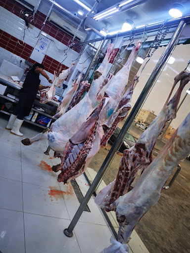 ملحمة هلاله فلاح 