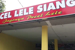 Pecel Lele Bang Toyib Andalas image