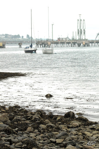 Fortress «Fort Preble», reviews and photos, Bunker Lane, South Portland, ME 04106, USA