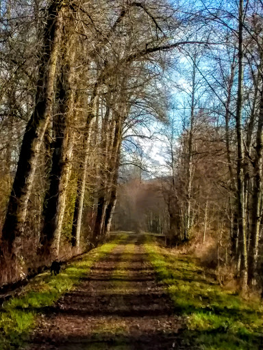 Golf Club «High Cedars Golf Club», reviews and photos, 14604 149th St Ct E, Orting, WA 98360, USA
