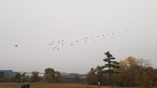 Park «Webber Park», reviews and photos, 4300 Webber Pkwy, Minneapolis, MN 55412, USA