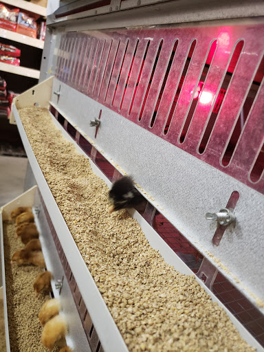 Farm Equipment Supplier «Columbia Farm Supply», reviews and photos, 170 Bear Creek Pike, Columbia, TN 38401, USA