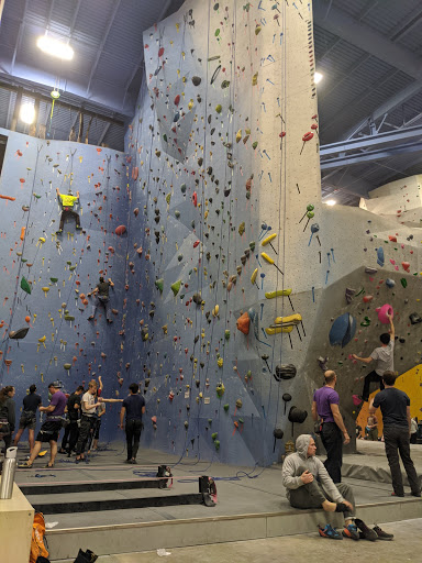 Rock Climbing «Planet Rock Climbing Gym», reviews and photos, 1103 W 13 Mile Rd, Madison Heights, MI 48071, USA