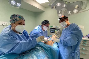 UMA : Unidad Cirugía de La Mano y Microcirugía image