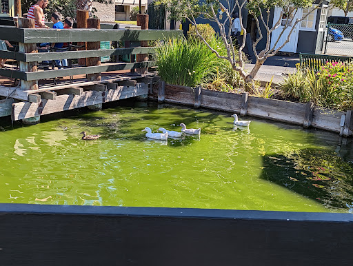 Car Wash «Classic Car Wash», reviews and photos, 981 E Hamilton Ave, Campbell, CA 95008, USA