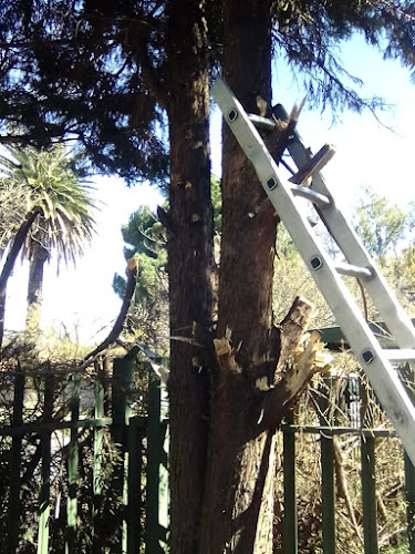 869 Kollie St, 0825983509, Pretoria, 0042