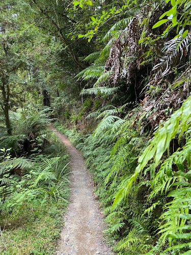 Pureora Forest Park / Timber Trail, Manawatu-Wanganui 3987, New Zealand