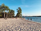 Anclote River Park
