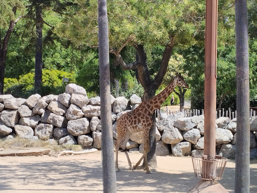 Parc Infantil Zoo Barcelona
