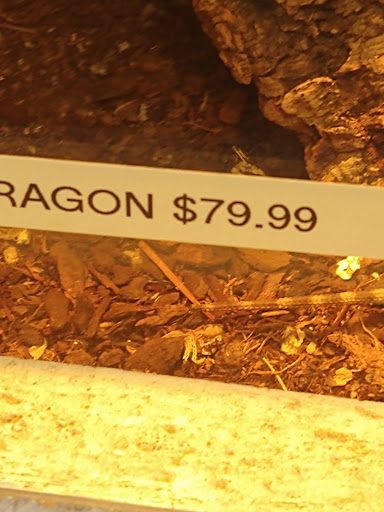 Pet Store «Fins Feathers Paws Claws», reviews and photos, 201 Station Rd, Quakertown, PA 18951, USA