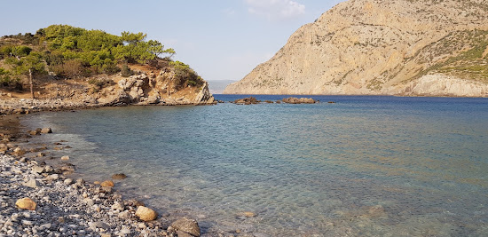 Tisan Kadinlar Koyu