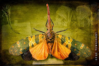 Big Sun Photography - Photo 7 - Car repair in , Lakewood