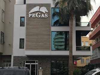 PEGAS; PETROL, DOĞAL GAZ VE ALTYAPI SİSTEMLERİ