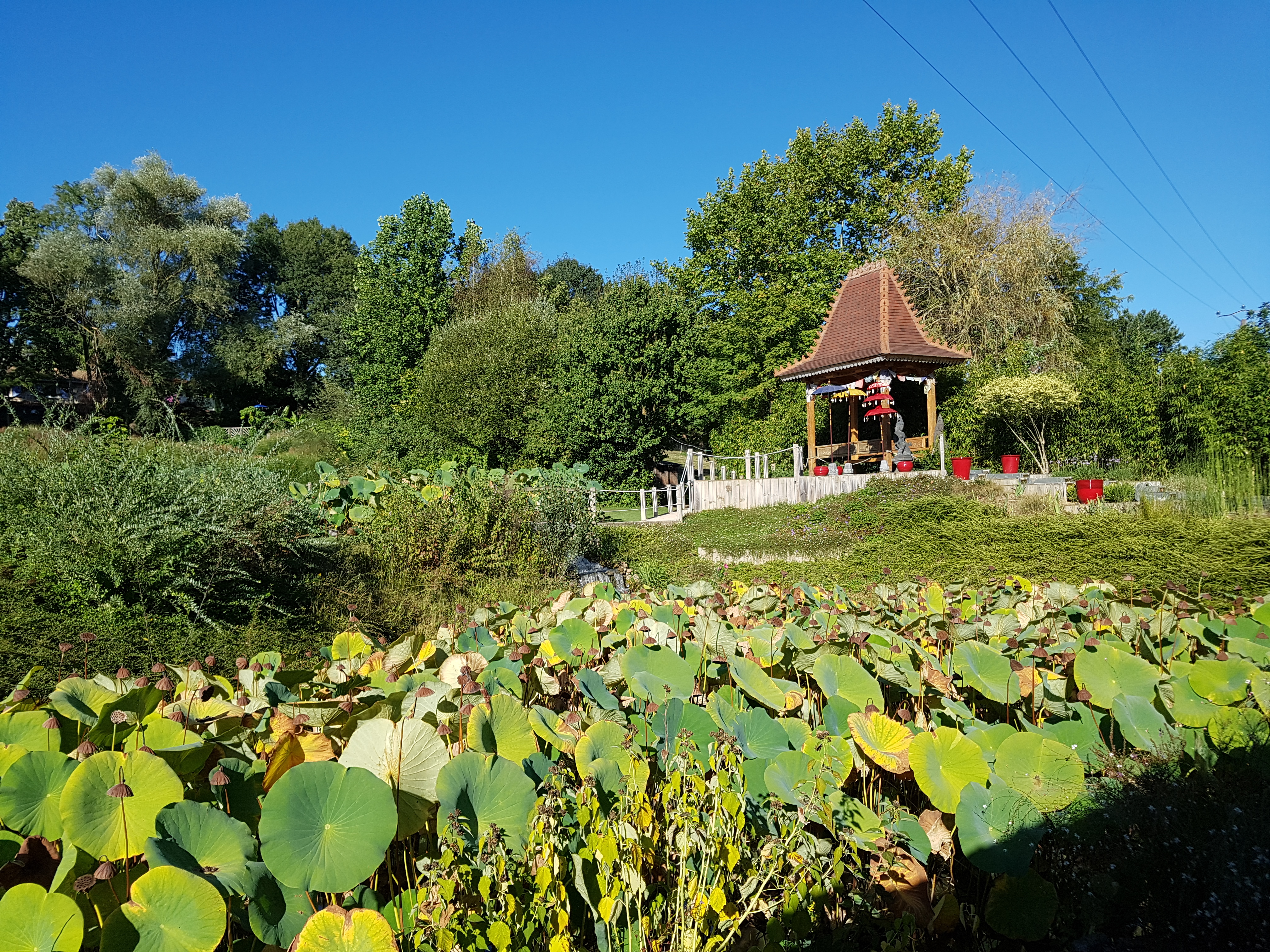Photo n° 3 de l'avis de DAVILLÉ.e fait le 16/09/2018 à 20:07