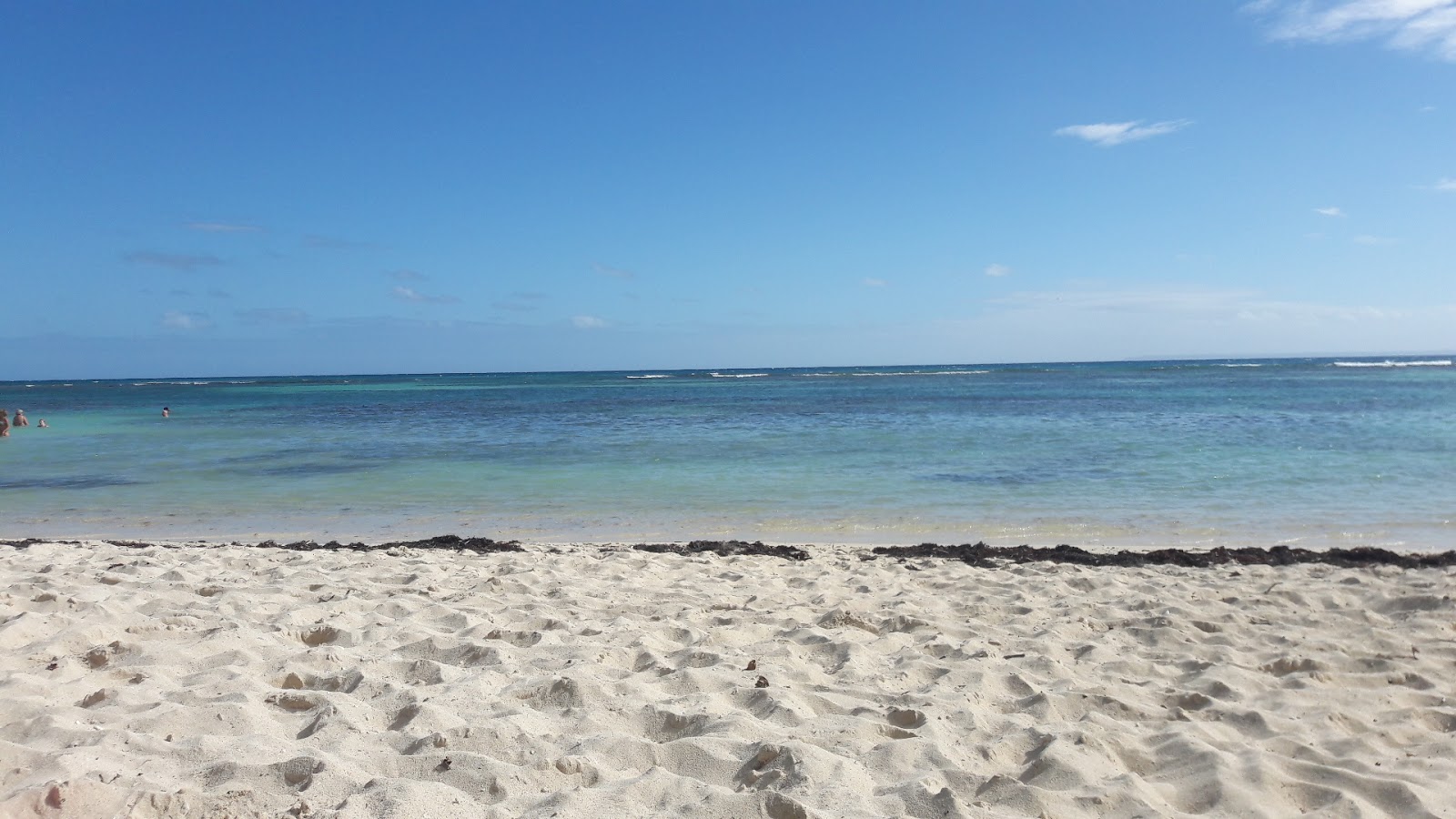 Anse du Mancenillier Beach photo #7