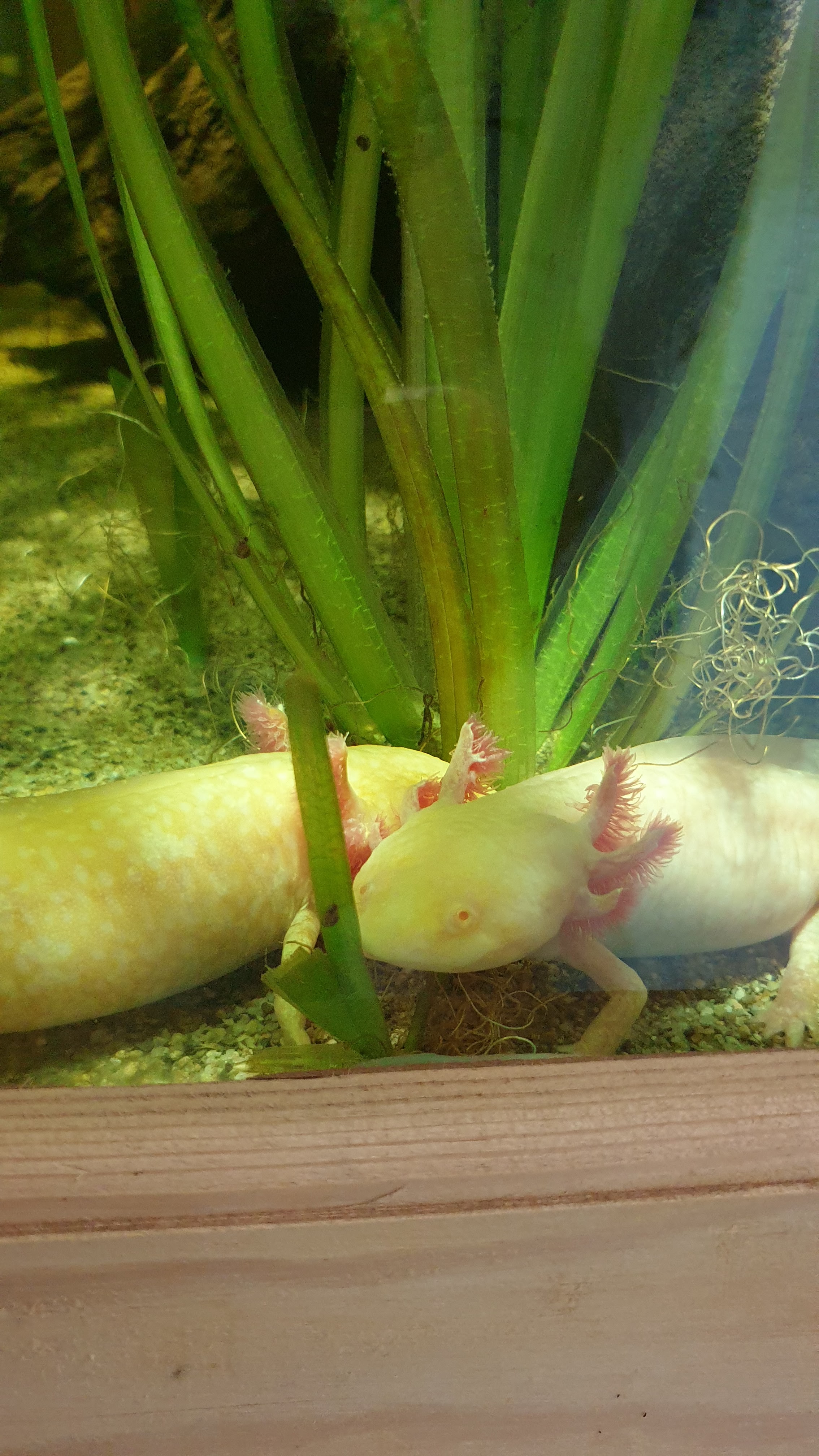 Photo n° 5 de l'avis de Laurent.o fait le 24/10/2021 à 17:02