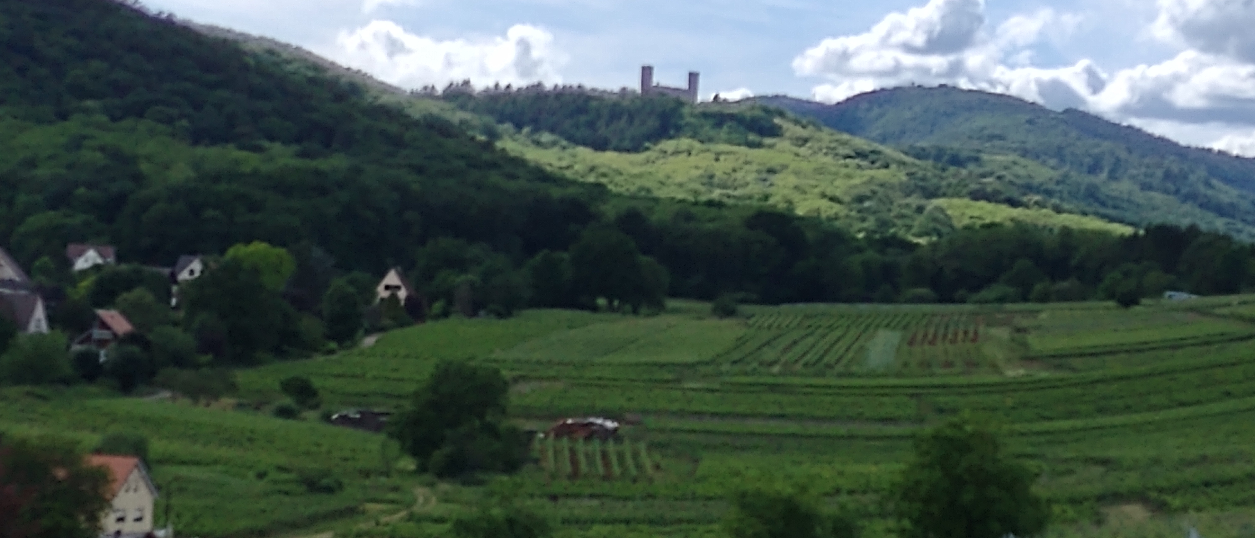Photo n° 8 de l'avis de Lance.o fait le 25/05/2022 à 15:15
