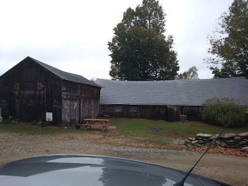 Outdoor Sports Store «Maple Hill Disc Golf», reviews and photos, 132 Marshall St, Leicester, MA 01524, USA