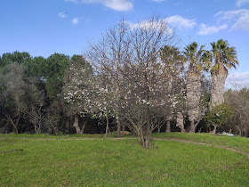 Parque Quinta das Flores