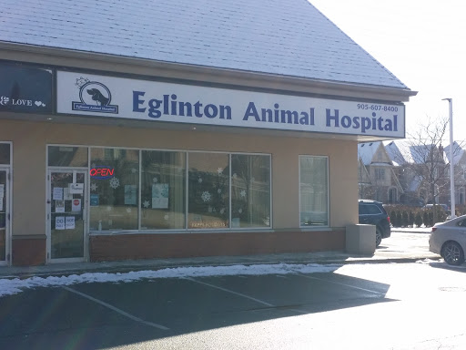 Eglinton Animal Hospital image