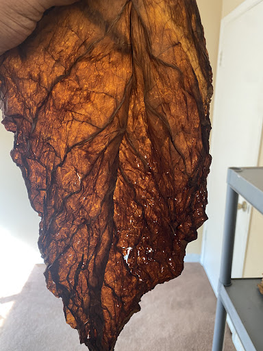 Tobacco Shop «Leaf Only», reviews and photos, 440 Middlefield St, Middletown, CT 06457, USA